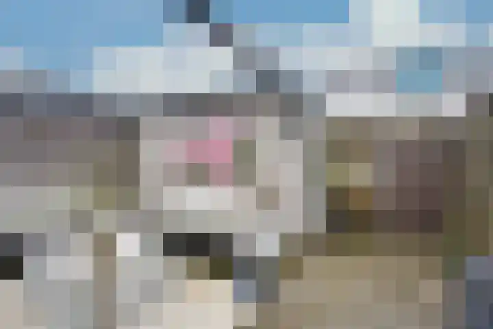 Lichtgroen 7 Zoetermeer thumbnail 21