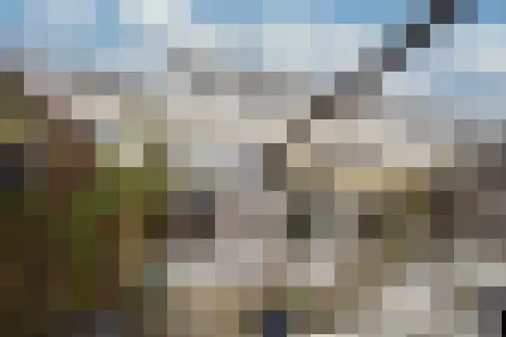 Lichtgroen 7 Zoetermeer thumbnail 23