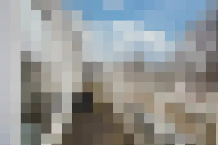 Lichtgroen 7 Zoetermeer thumbnail 41