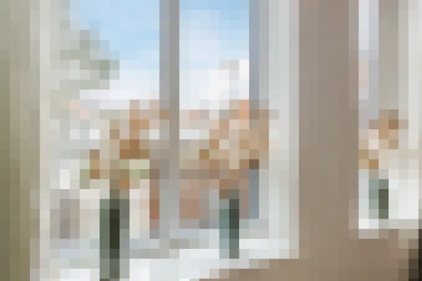 Lichthofje 3 Bergen op Zoom thumbnail 22