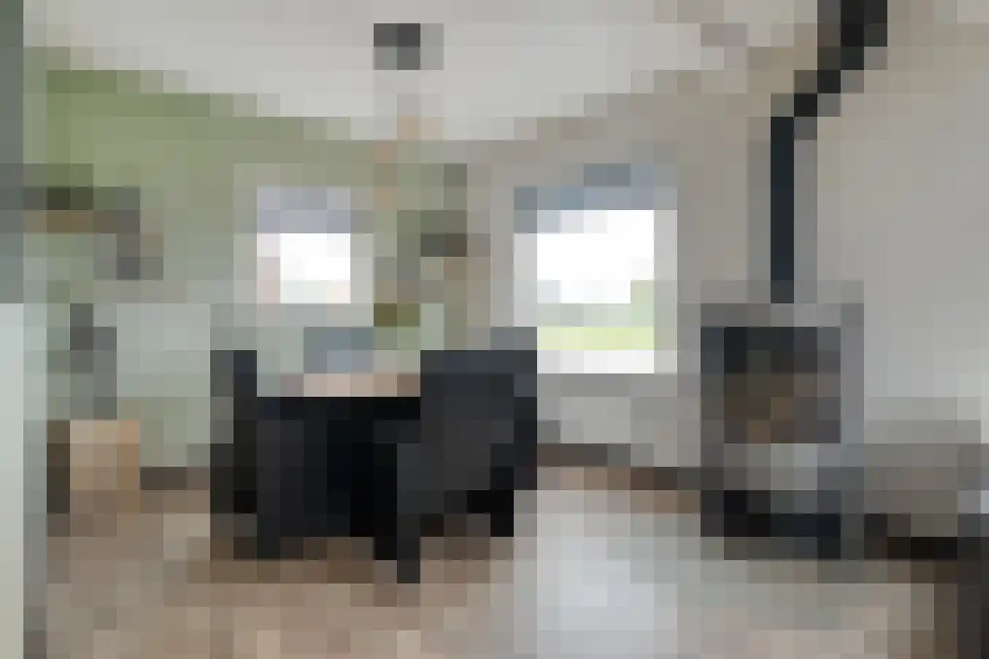 Lichtmisweg 29 Zwolle thumbnail 11