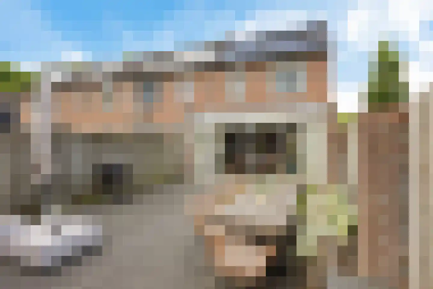 Lichtmot 7 Oss thumbnail 26
