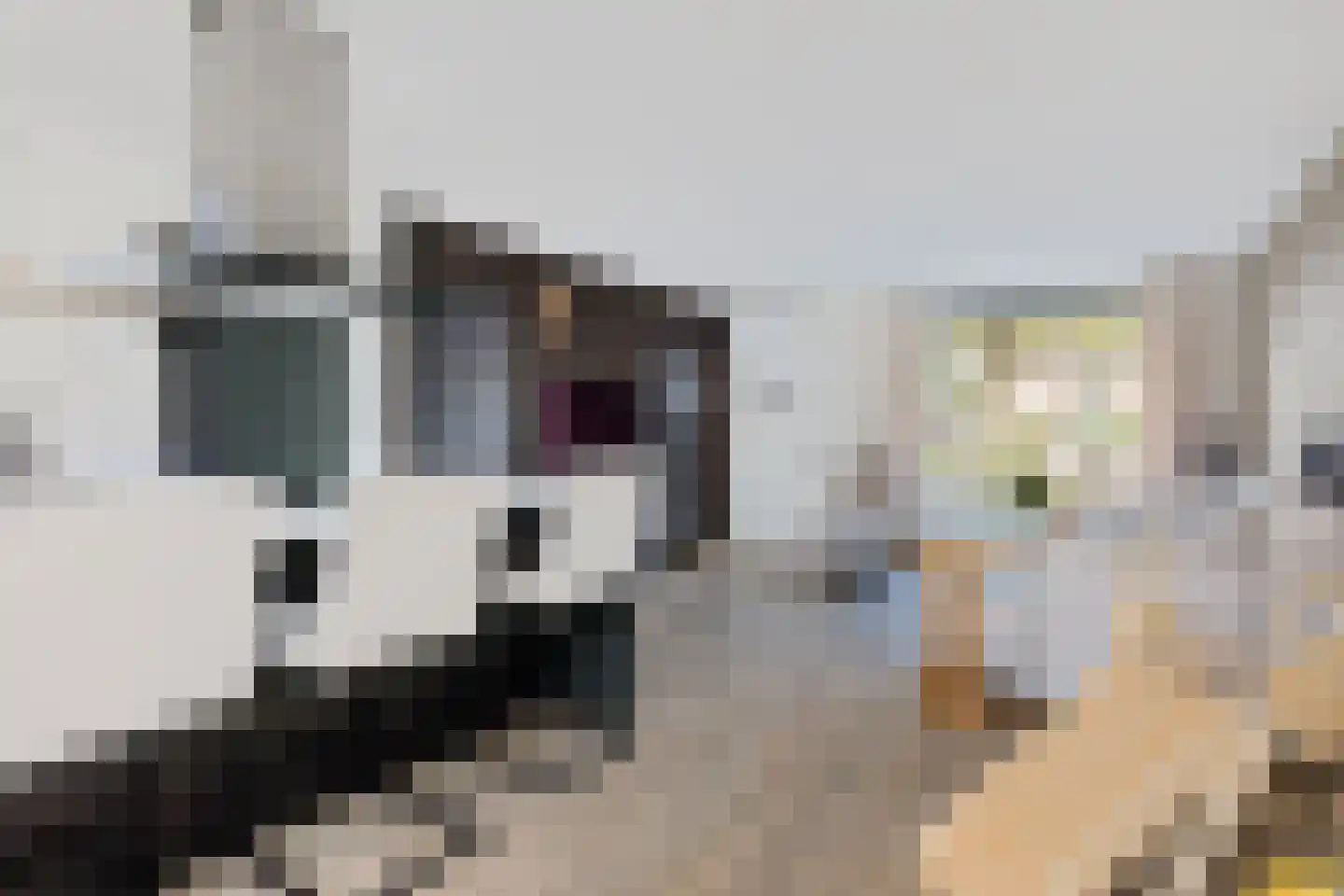 Lichtmot 7 Oss thumbnail 5