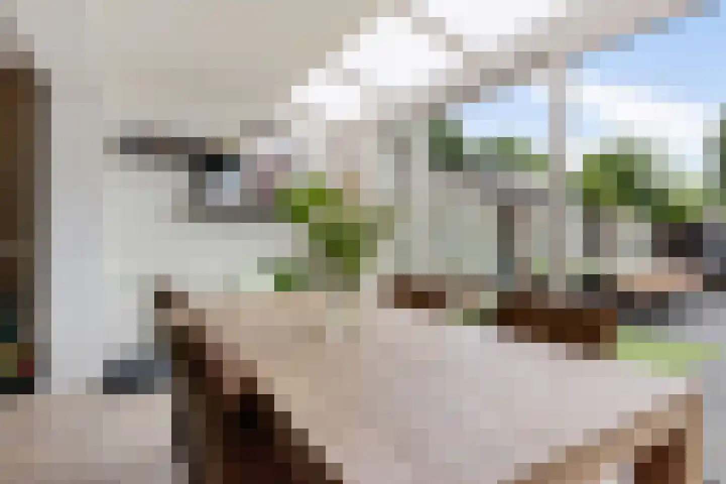Lichtmot 7 Oss thumbnail 7