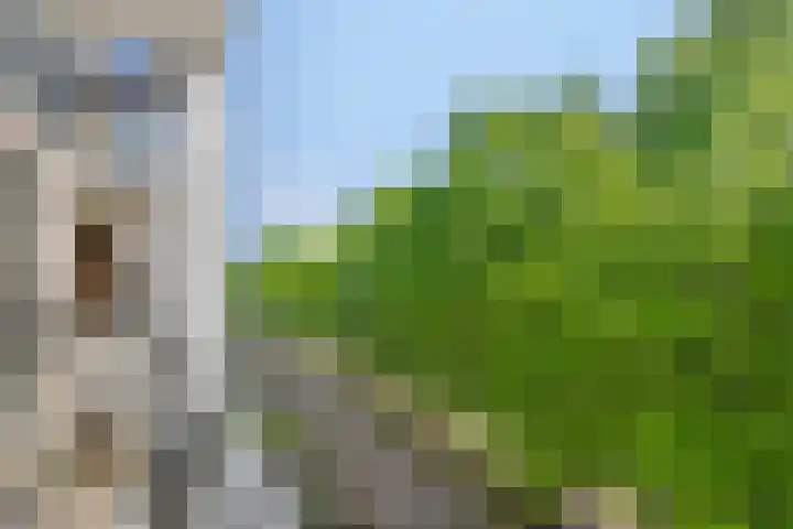 Lichtpenweg 190 Amersfoort thumbnail 27