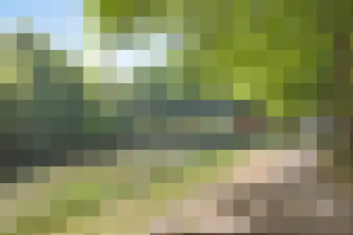 Lichtpenweg 190 Amersfoort thumbnail 39