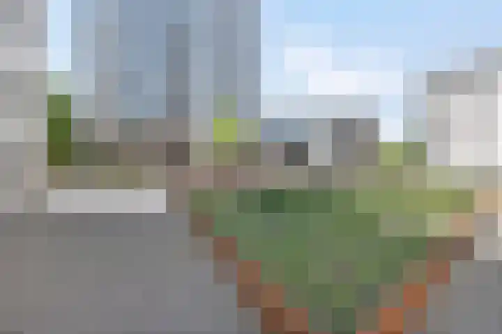 Lichtpenweg 190 Amersfoort thumbnail 8