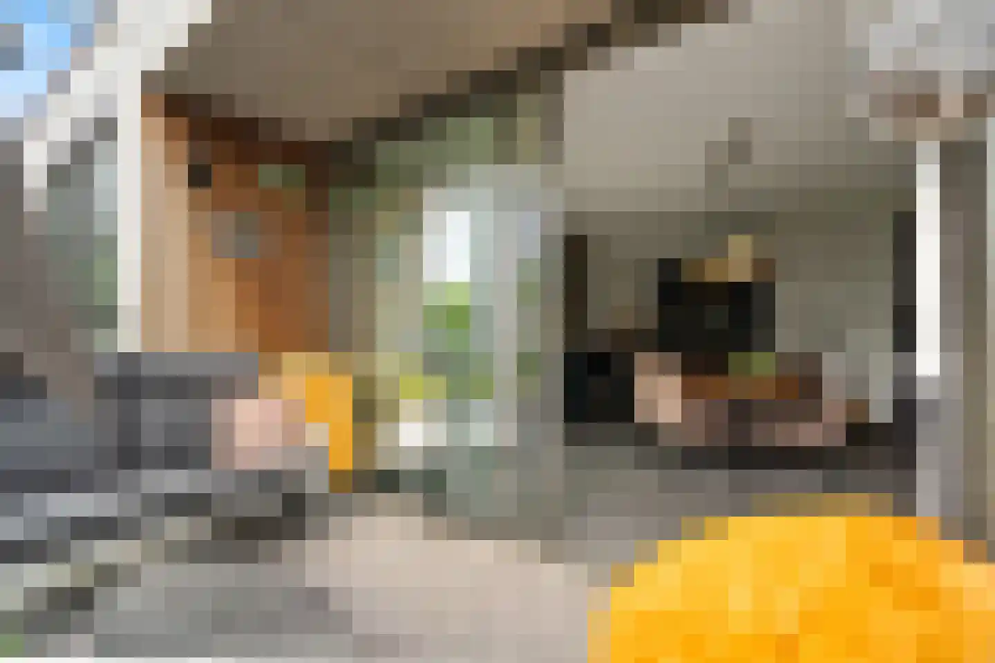 Lichtpenweg 202 Amersfoort thumbnail 22