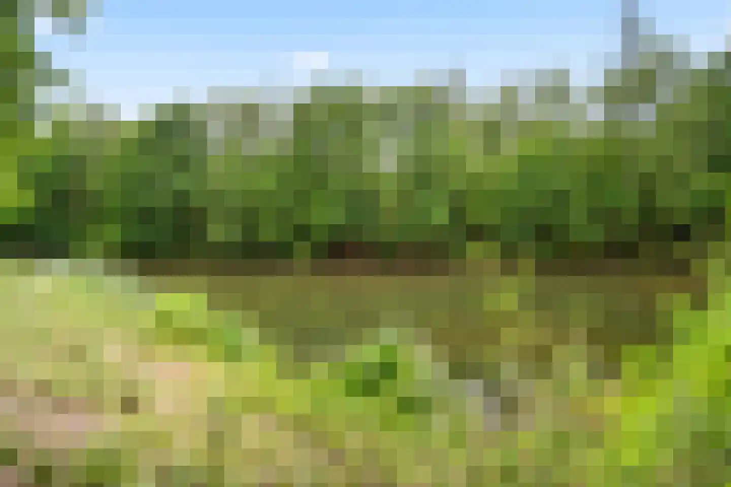Lichtpenweg 202 Amersfoort thumbnail 53