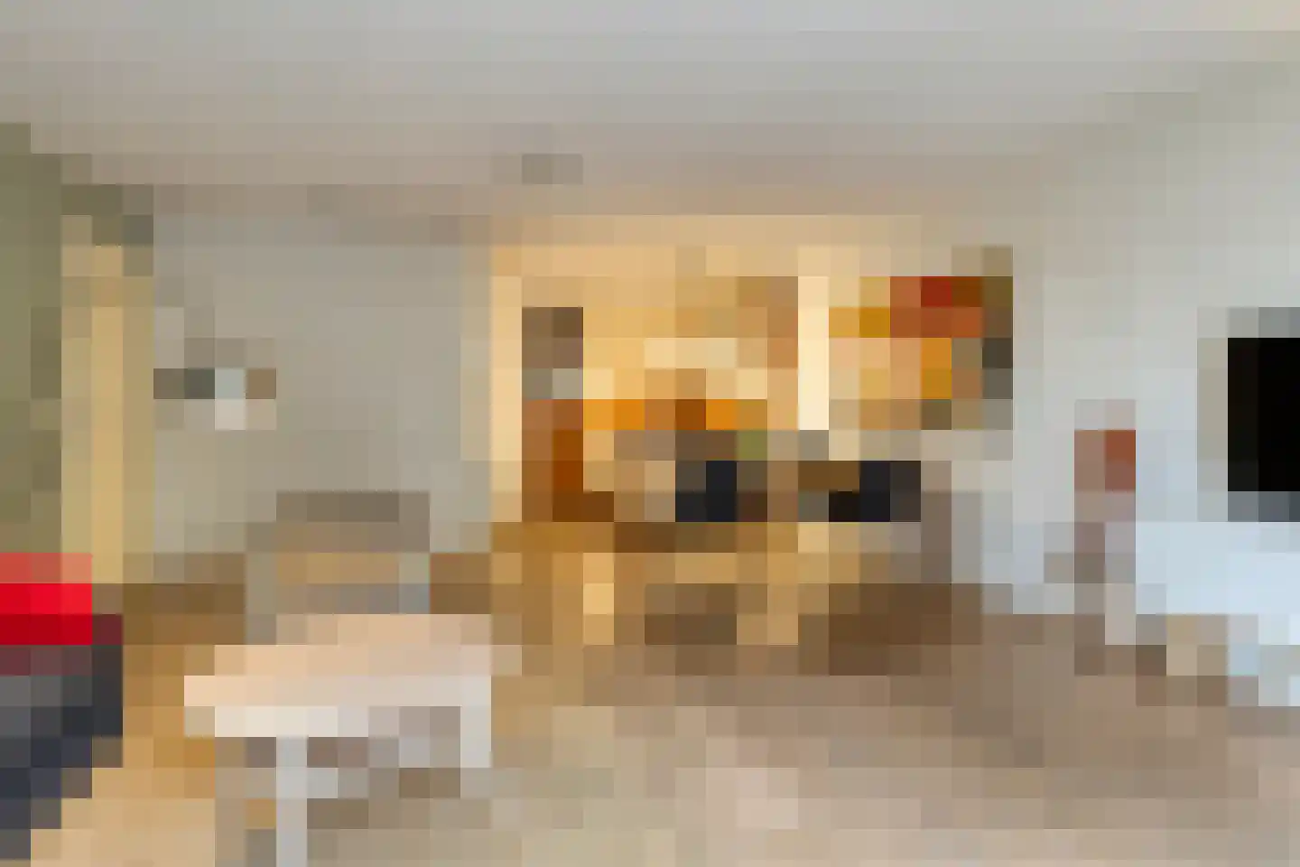 Lichtstraat 101 Eindhoven thumbnail 19