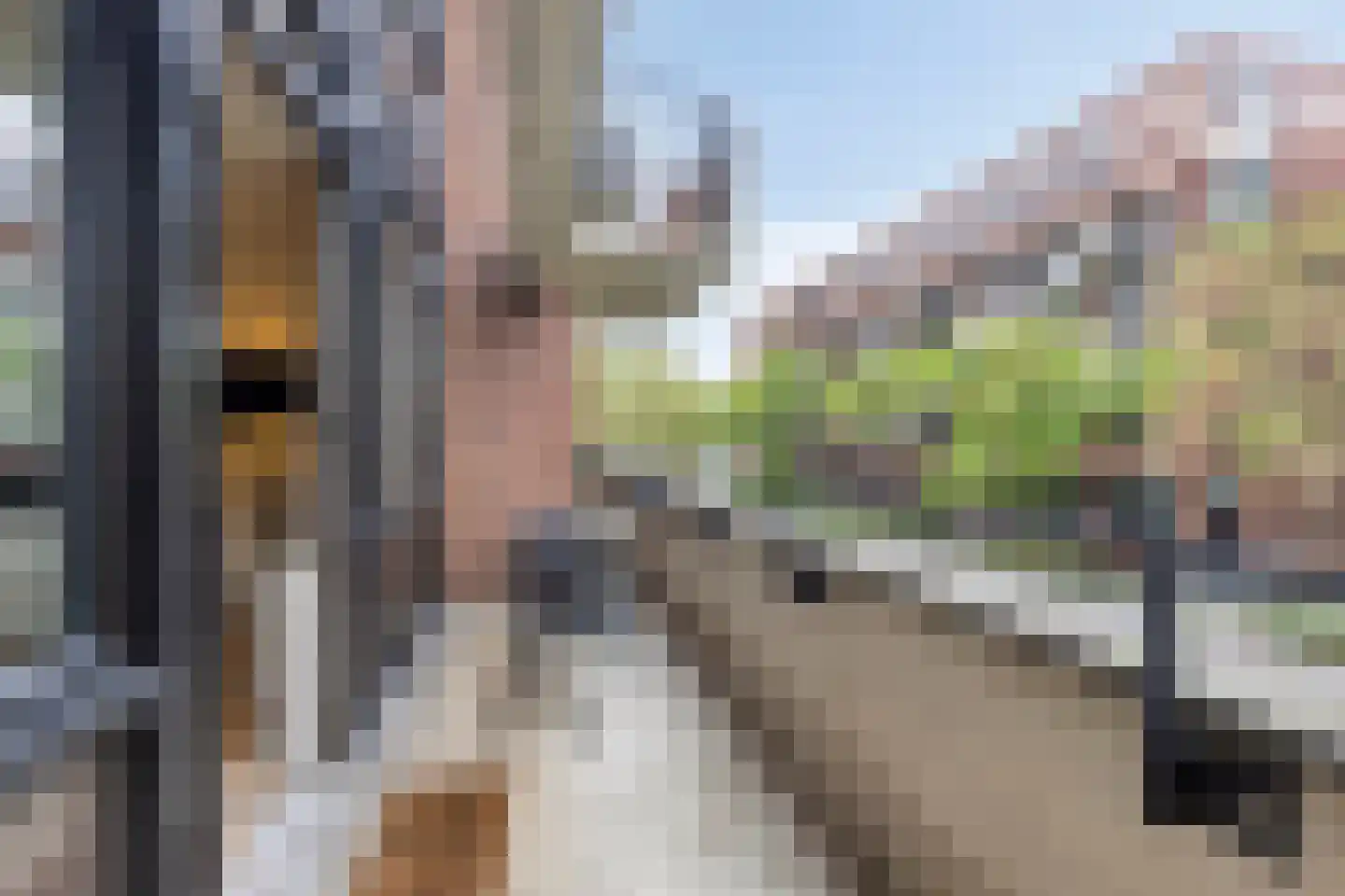 Lichtstraat 101 Eindhoven thumbnail 22