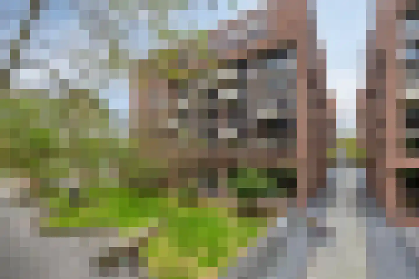 Lichtstraat 101 Eindhoven thumbnail 6