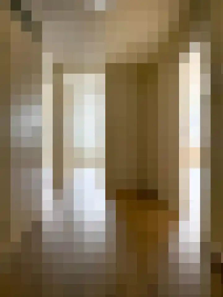Lichtstraat 137 Eindhoven thumbnail 12