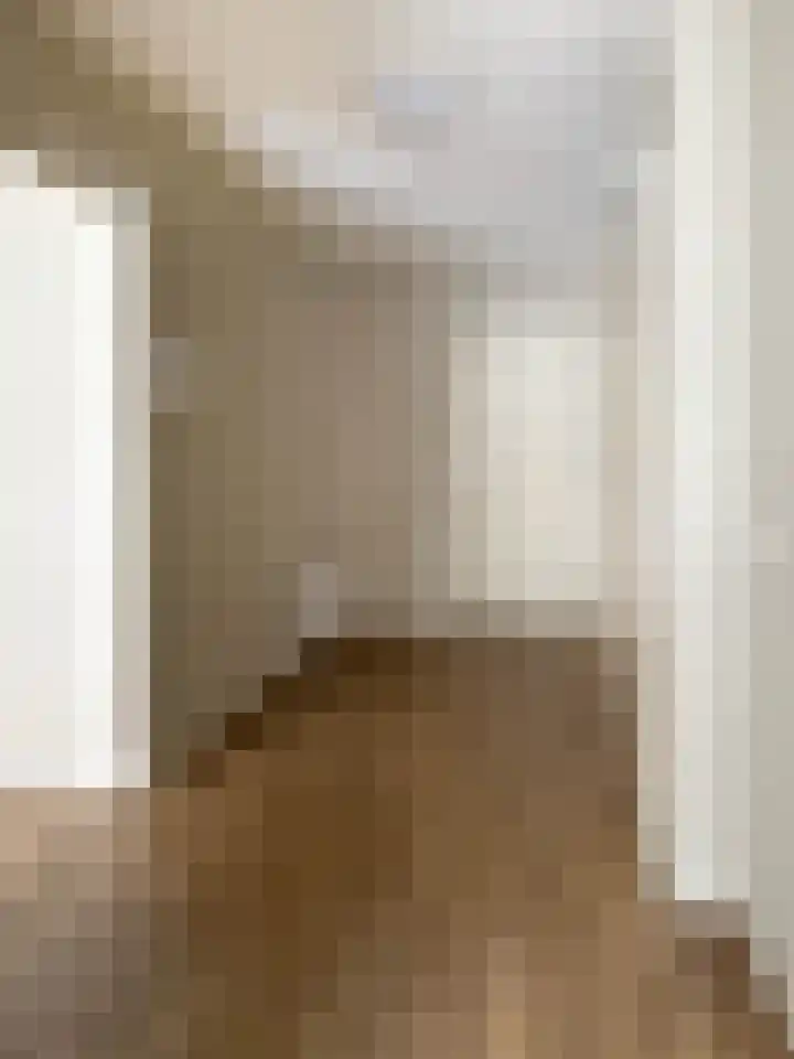 Lichtstraat 137 Eindhoven thumbnail 13
