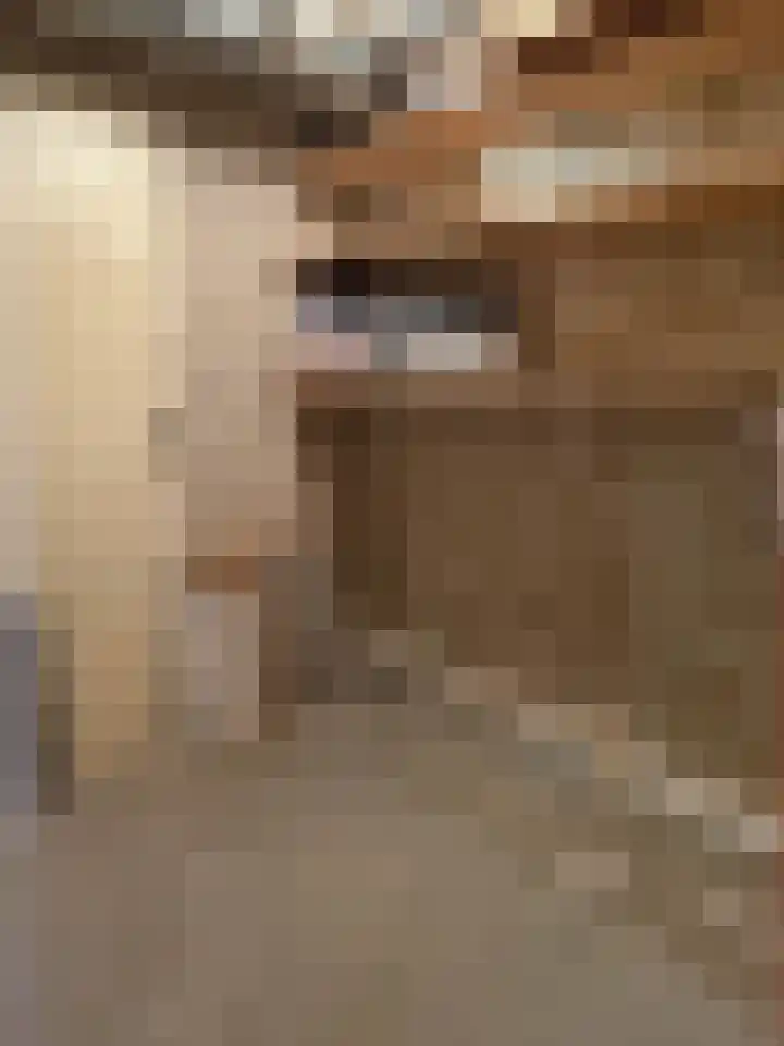 Lichtstraat 137 Eindhoven thumbnail 18