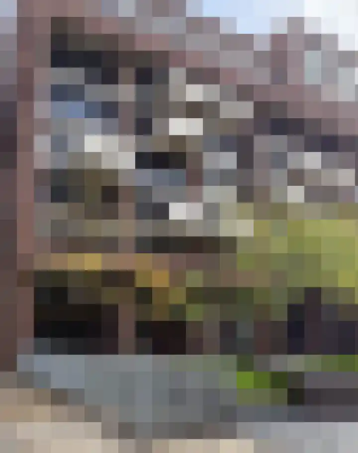 Lichtstraat 137 Eindhoven thumbnail 21