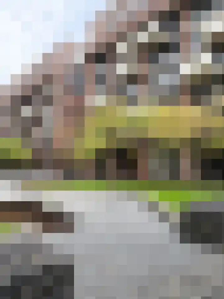 Lichtstraat 137 Eindhoven thumbnail 22