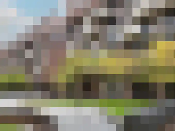 Lichtstraat 137 Eindhoven thumbnail 23