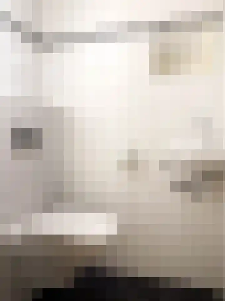 Lichtstraat 137 Eindhoven thumbnail 6
