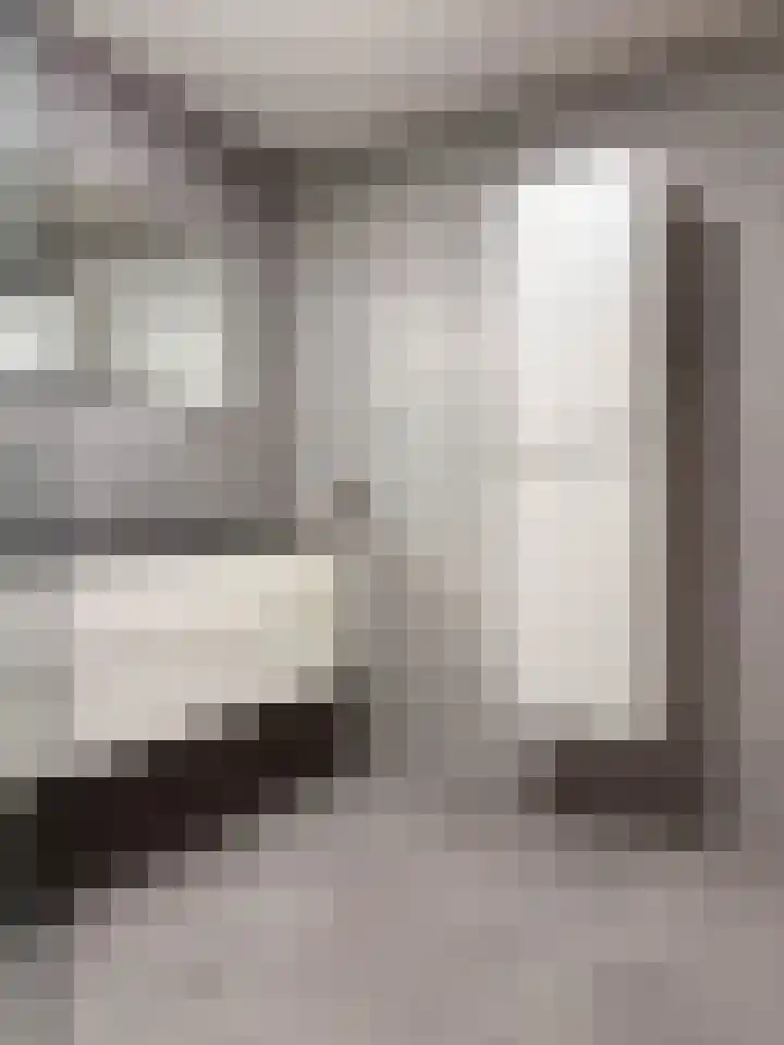 Lichtstraat 137 Eindhoven thumbnail 9