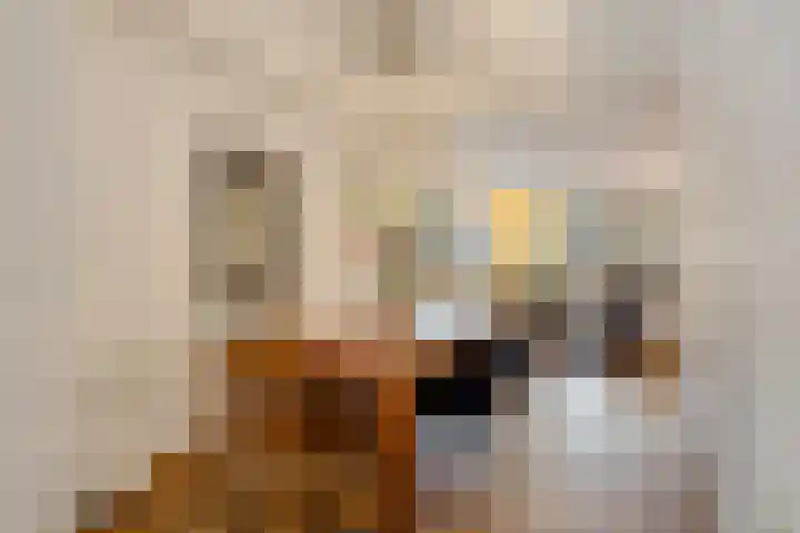 Lichtstraat 16 Eindhoven thumbnail 18
