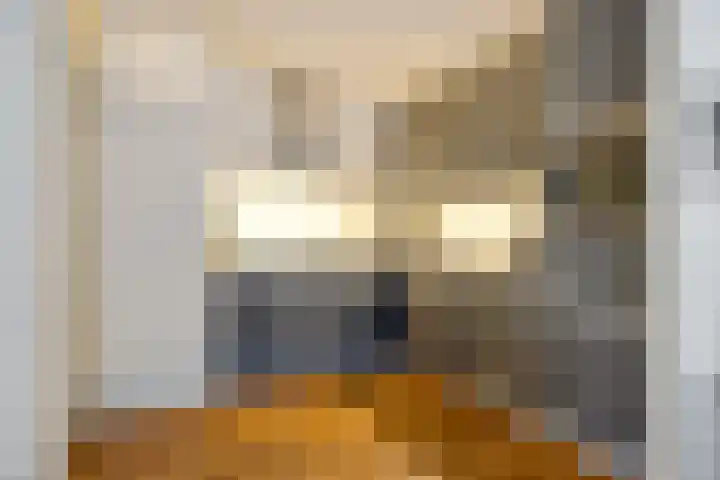 Lichtstraat 16 Eindhoven thumbnail 21