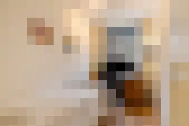 Lichtstraat 16 Eindhoven thumbnail 26