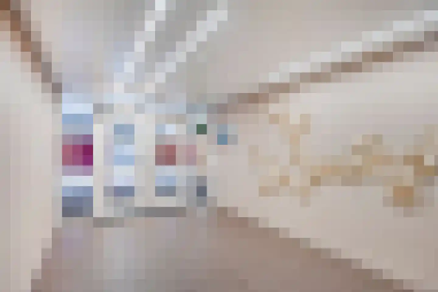 Lichtstraat 199 Eindhoven thumbnail 17