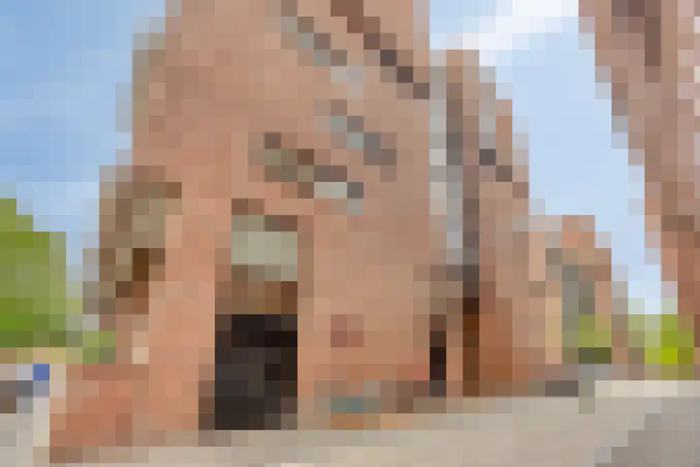 Lichtstraat 199 Eindhoven thumbnail 27