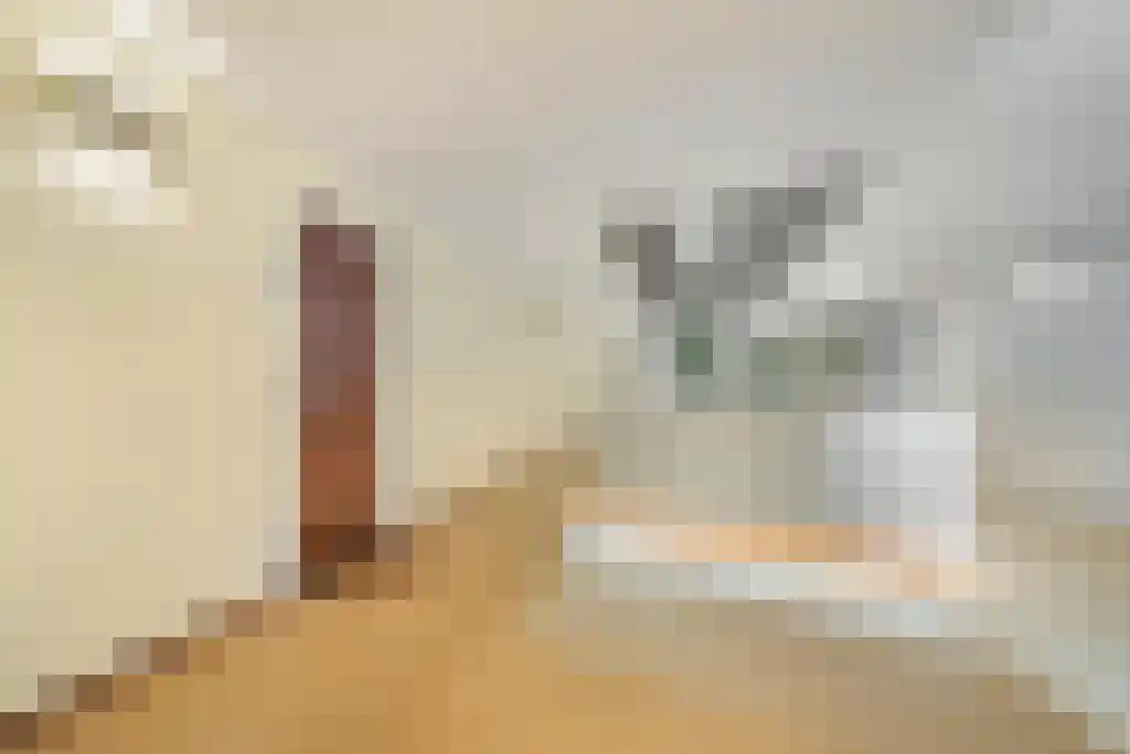 Lichtstraat 211 Eindhoven thumbnail 11