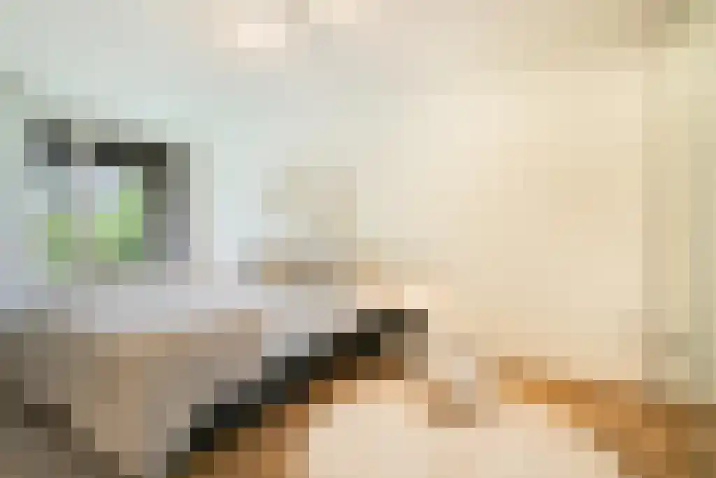Lichtstraat 211 Eindhoven thumbnail 20