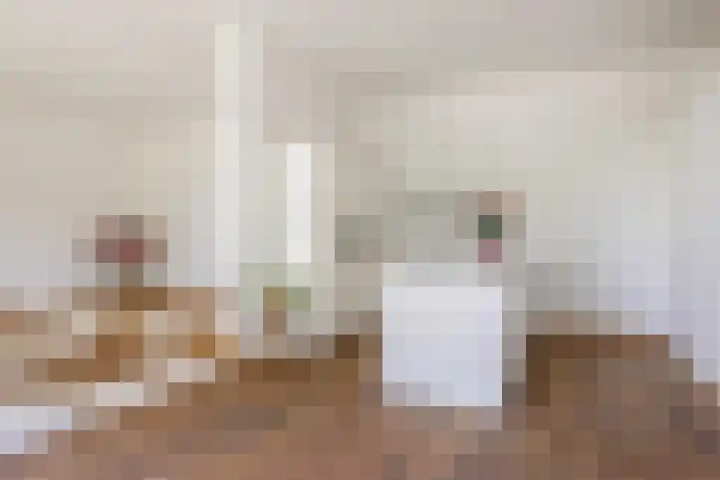 Lichtstraat 211 Eindhoven thumbnail 26