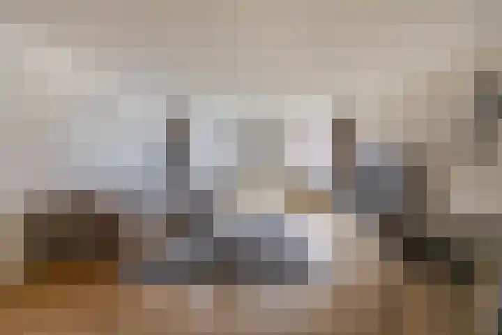 Lichtstraat 257 Eindhoven thumbnail 14