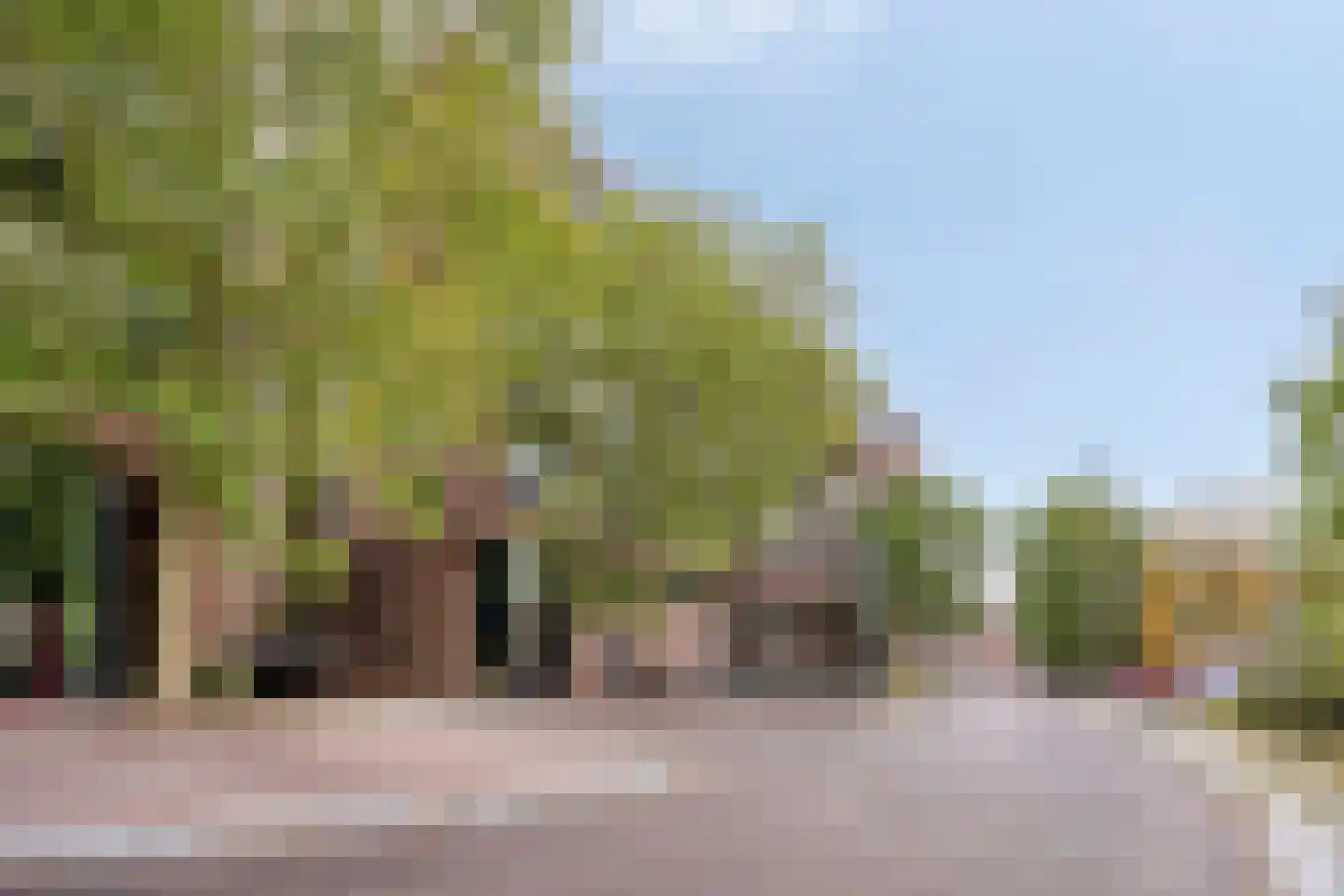 Lichtstraat 257 Eindhoven thumbnail 24