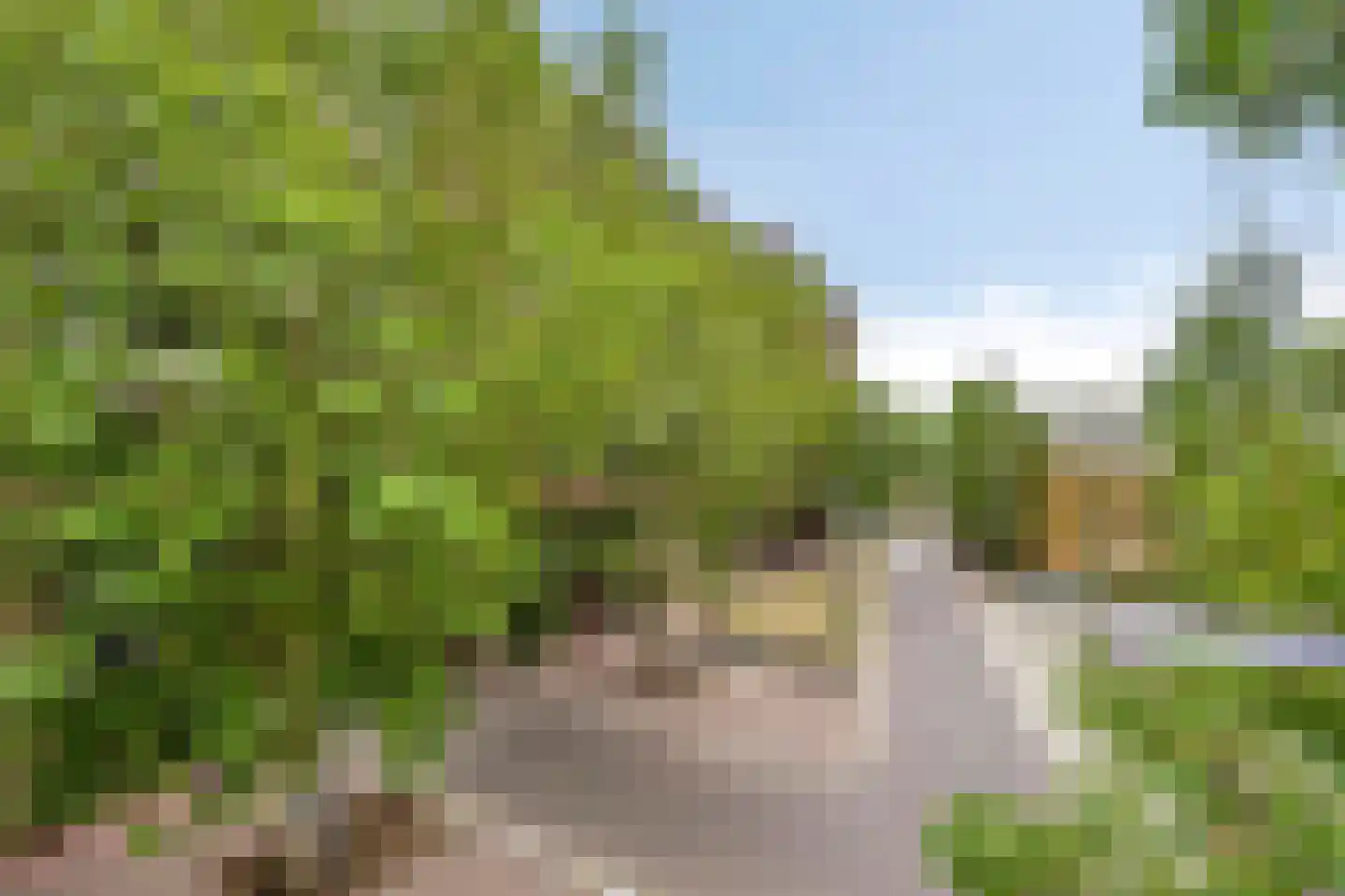Lichtstraat 257 Eindhoven thumbnail 25
