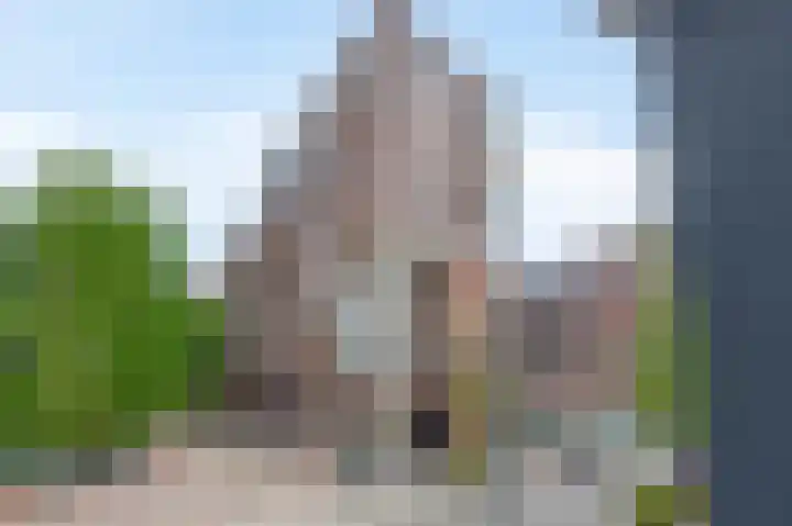 Lichtstraat 257 Eindhoven thumbnail 35