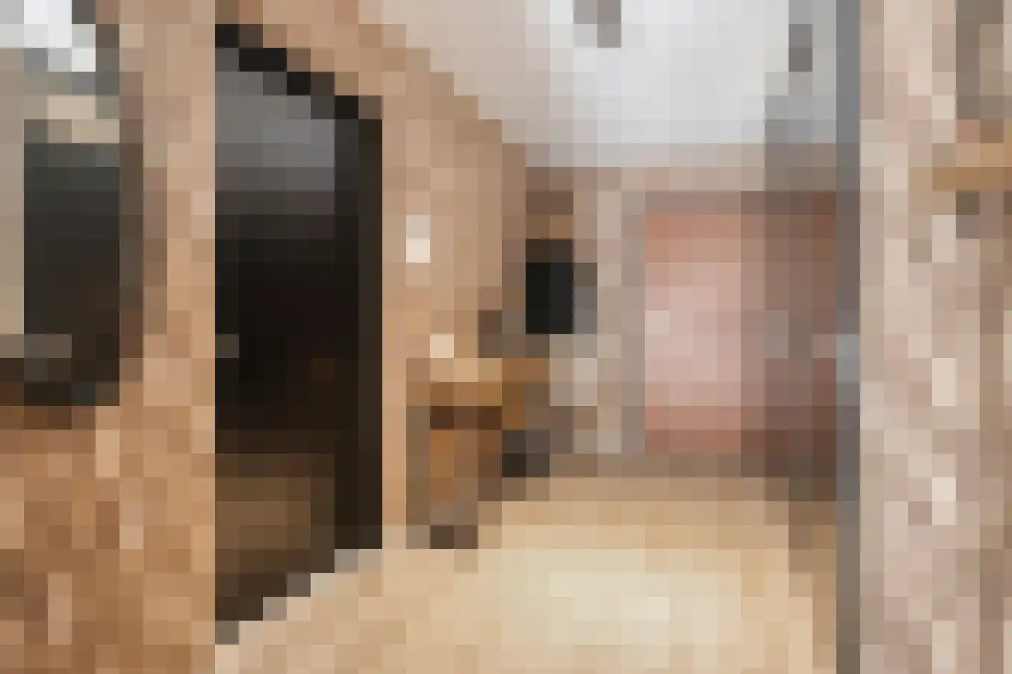 Lichtstraat 257 Eindhoven thumbnail 5
