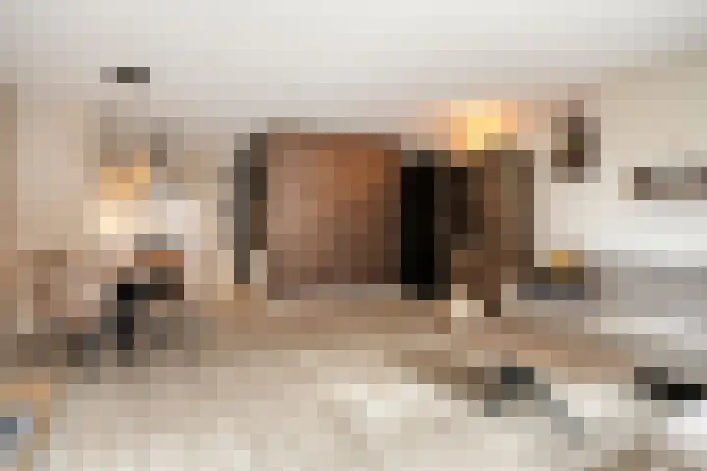 Lichtstraat 257 Eindhoven thumbnail 8