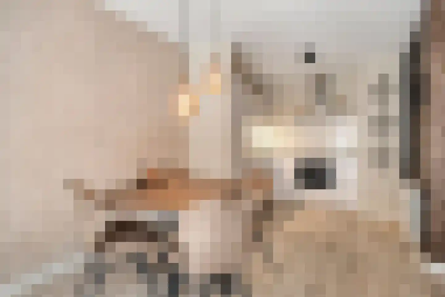 Lichtstraat 257 Eindhoven thumbnail 9