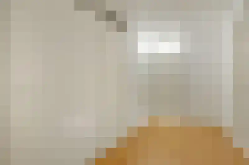 Lichtstraat 269 Eindhoven thumbnail 5