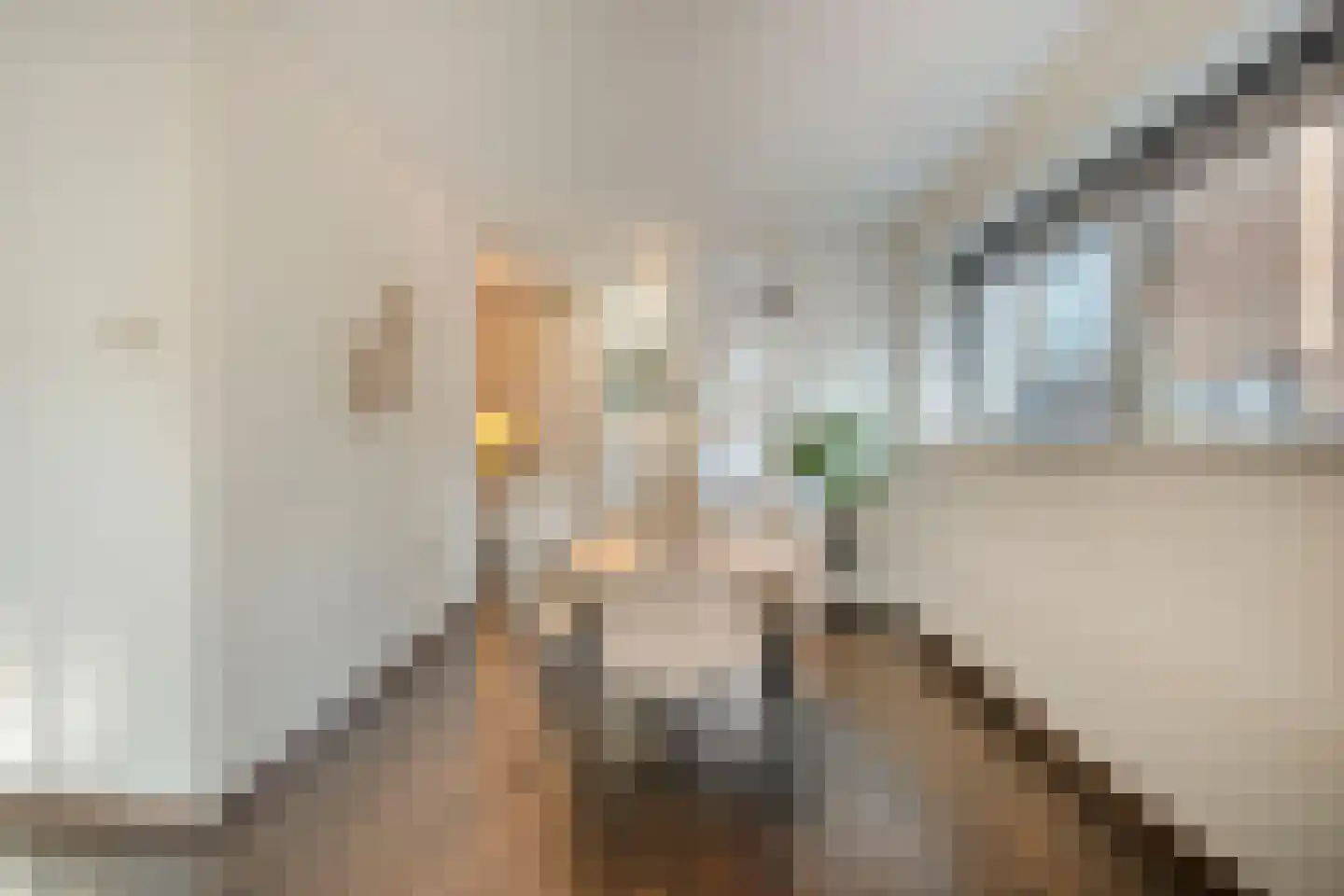 Lichtstraat 271 Eindhoven thumbnail 11