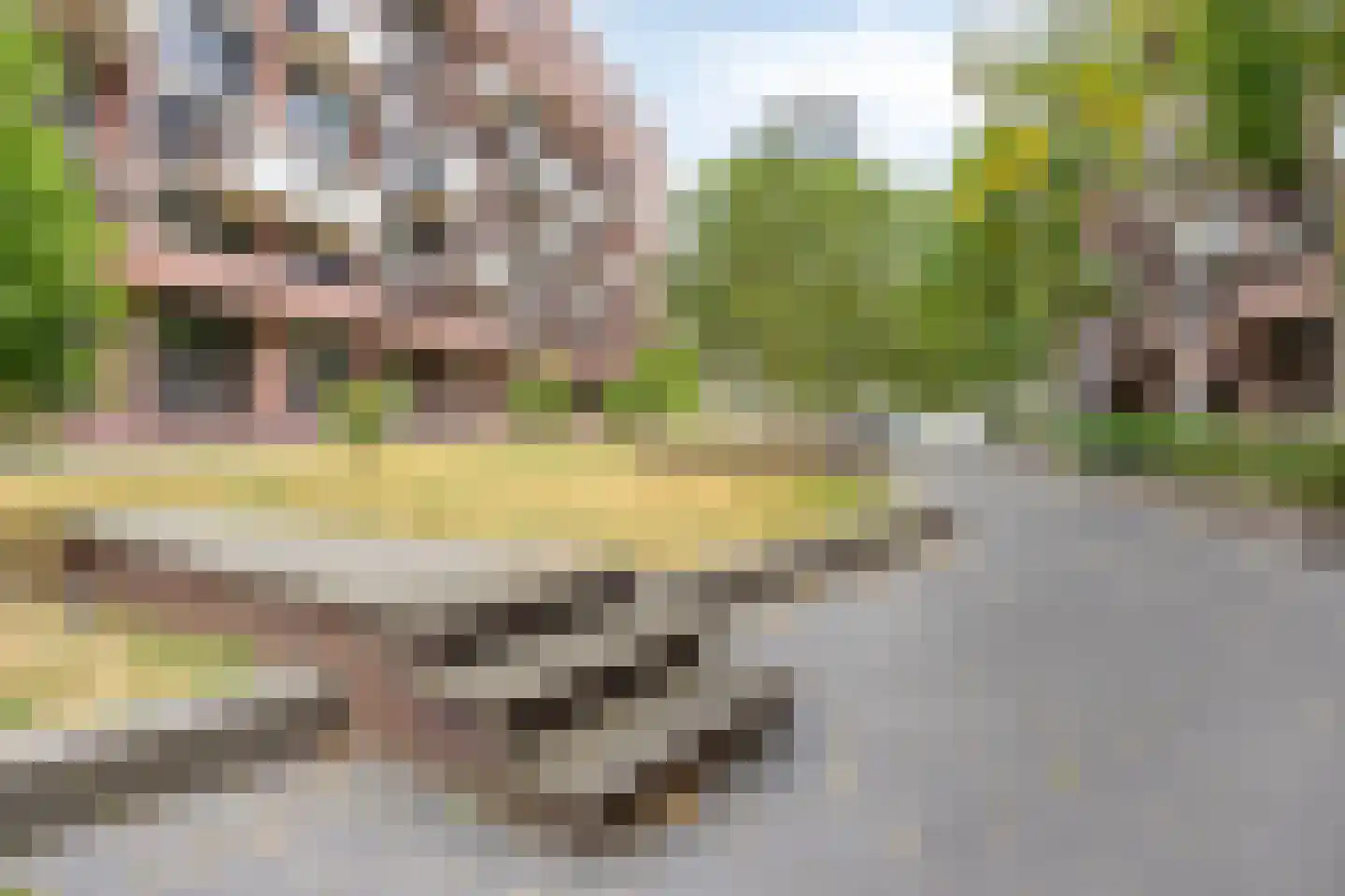 Lichtstraat 271 Eindhoven thumbnail 32