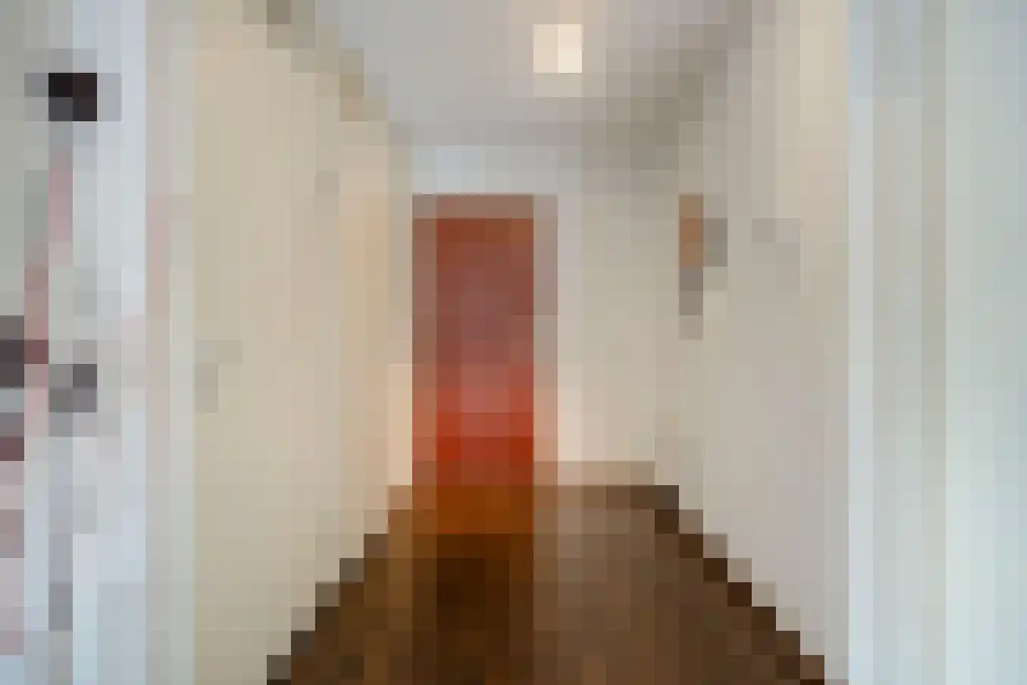 Lichtstraat 271 Eindhoven thumbnail 6