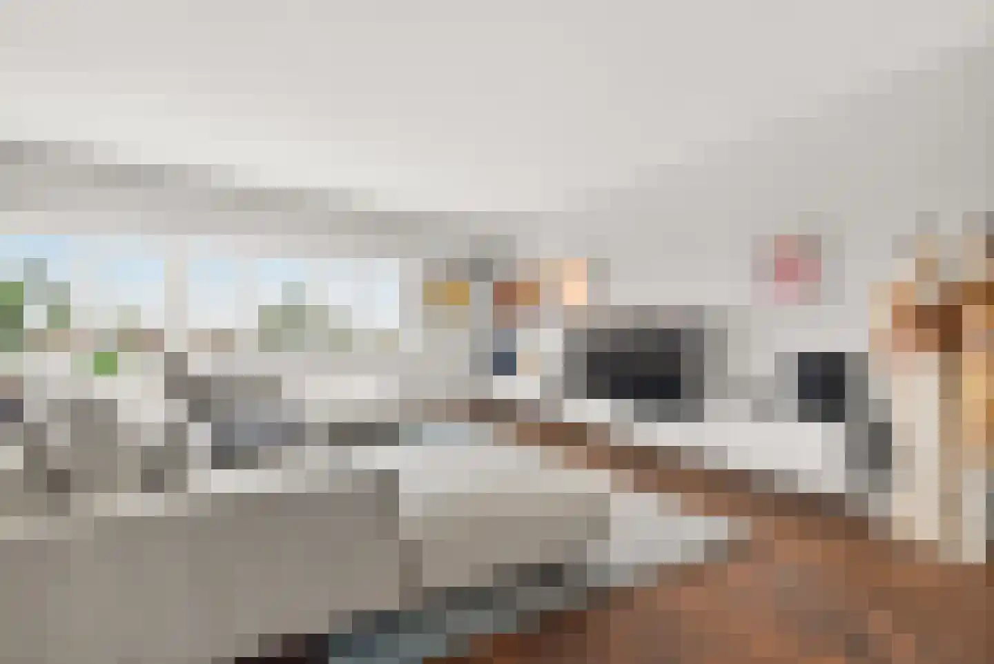 Lichtstraat 279 Eindhoven thumbnail 15