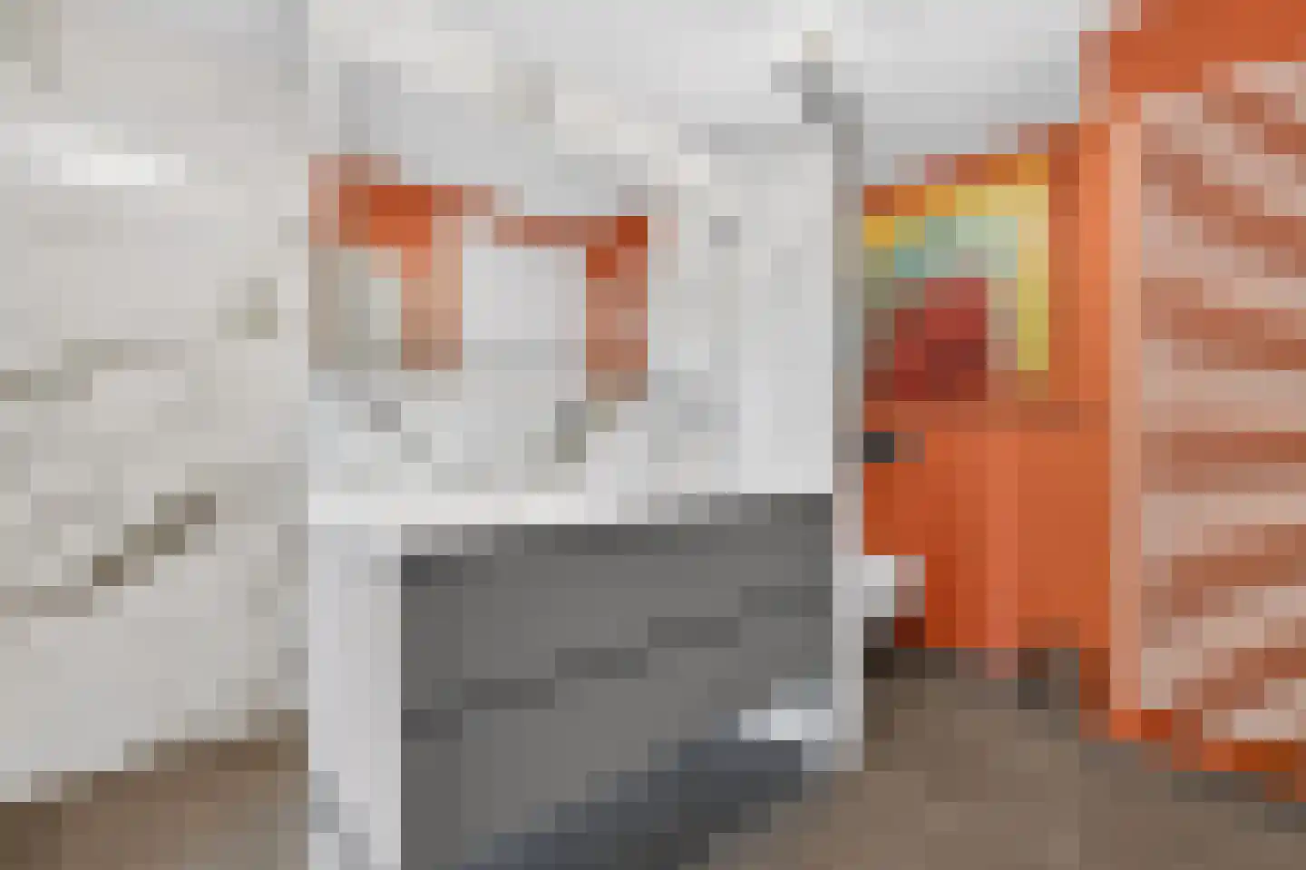 Lichtstraat 279 Eindhoven thumbnail 32
