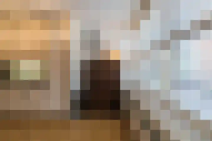 Lichtstraat 289 Eindhoven thumbnail 20