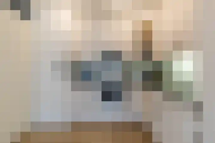 Lichtstraat 289 Eindhoven thumbnail 22