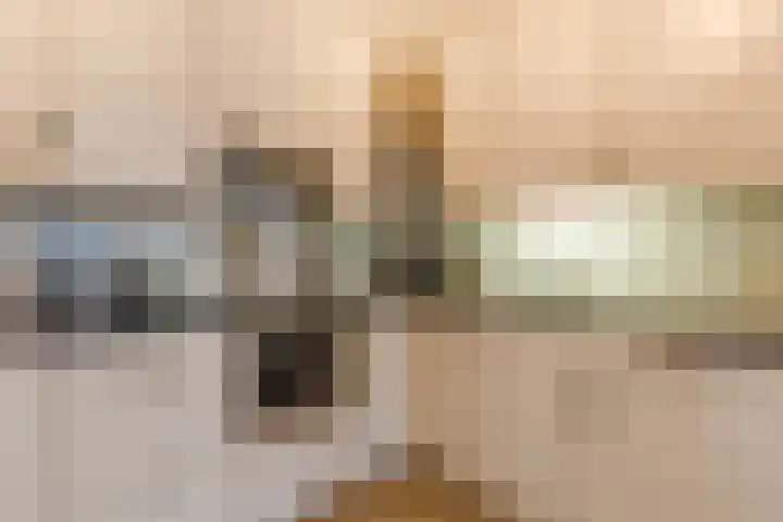 Lichtstraat 289 Eindhoven thumbnail 23