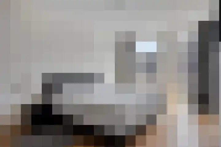 Lichtstraat 311 Eindhoven thumbnail 18