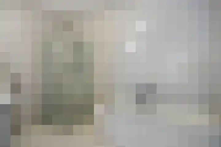 Lichtstraat 311 Eindhoven thumbnail 20